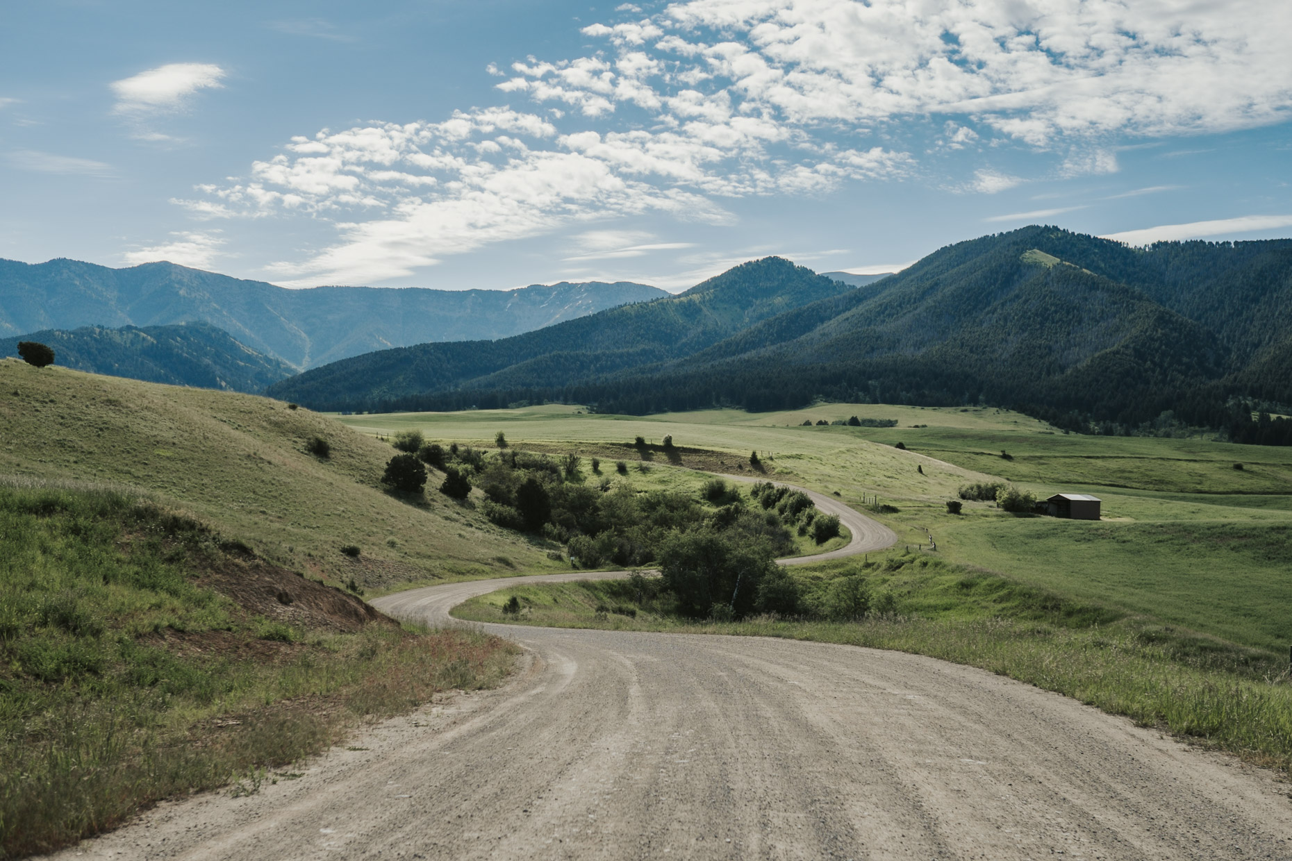 montana 