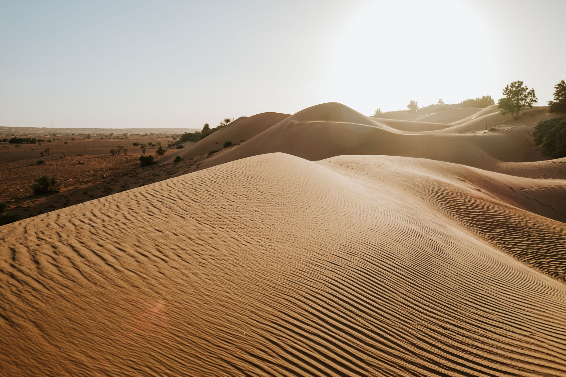 dubai desert